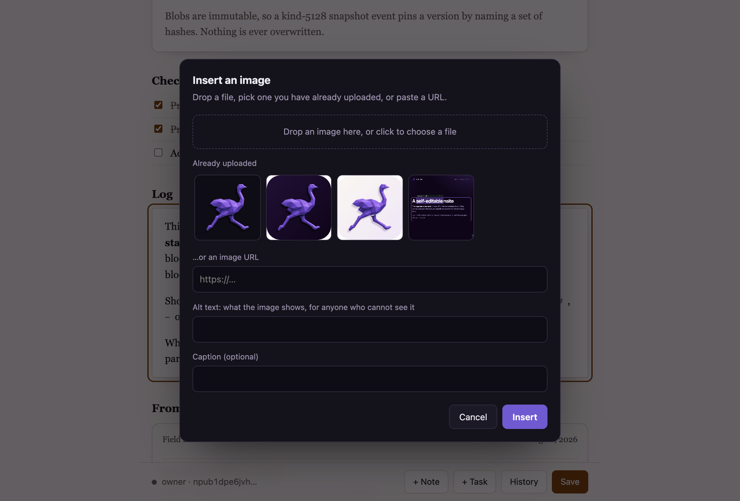 The insert image panel with a drop area, a grid of previously uploaded images, and fields for a URL, alt text and caption