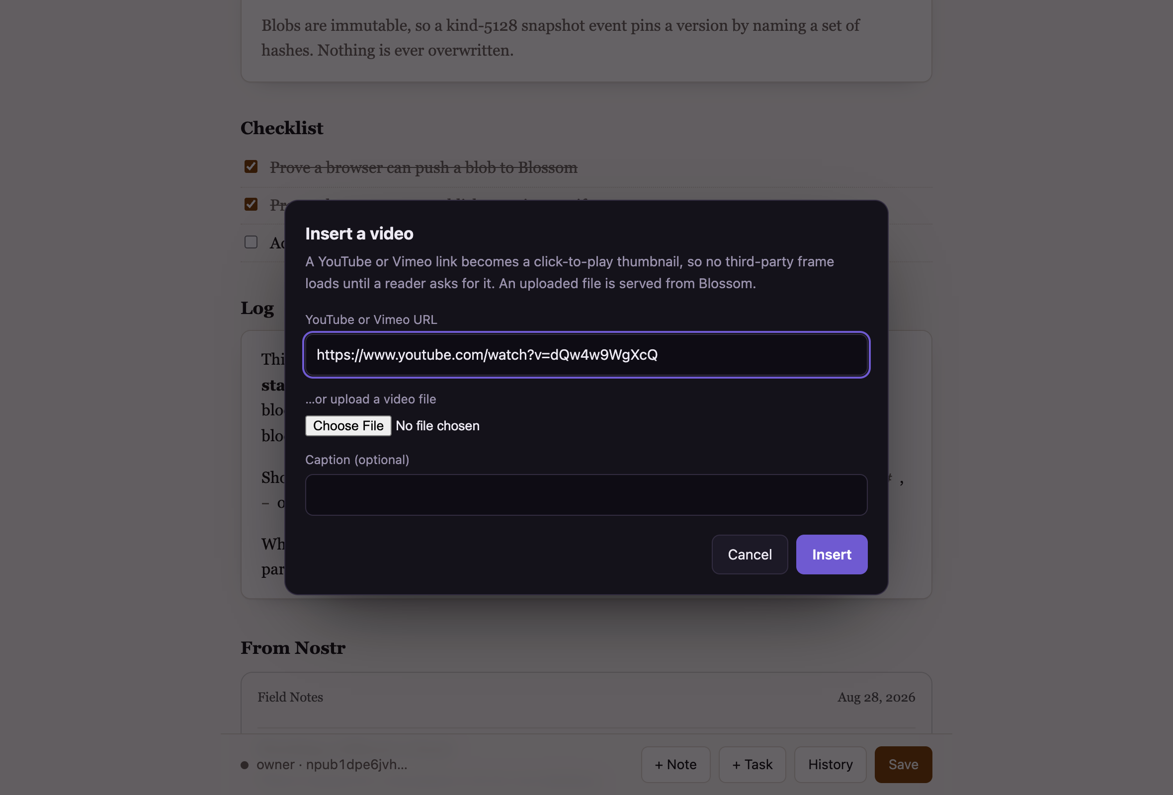 The insert video panel with a YouTube link filled in