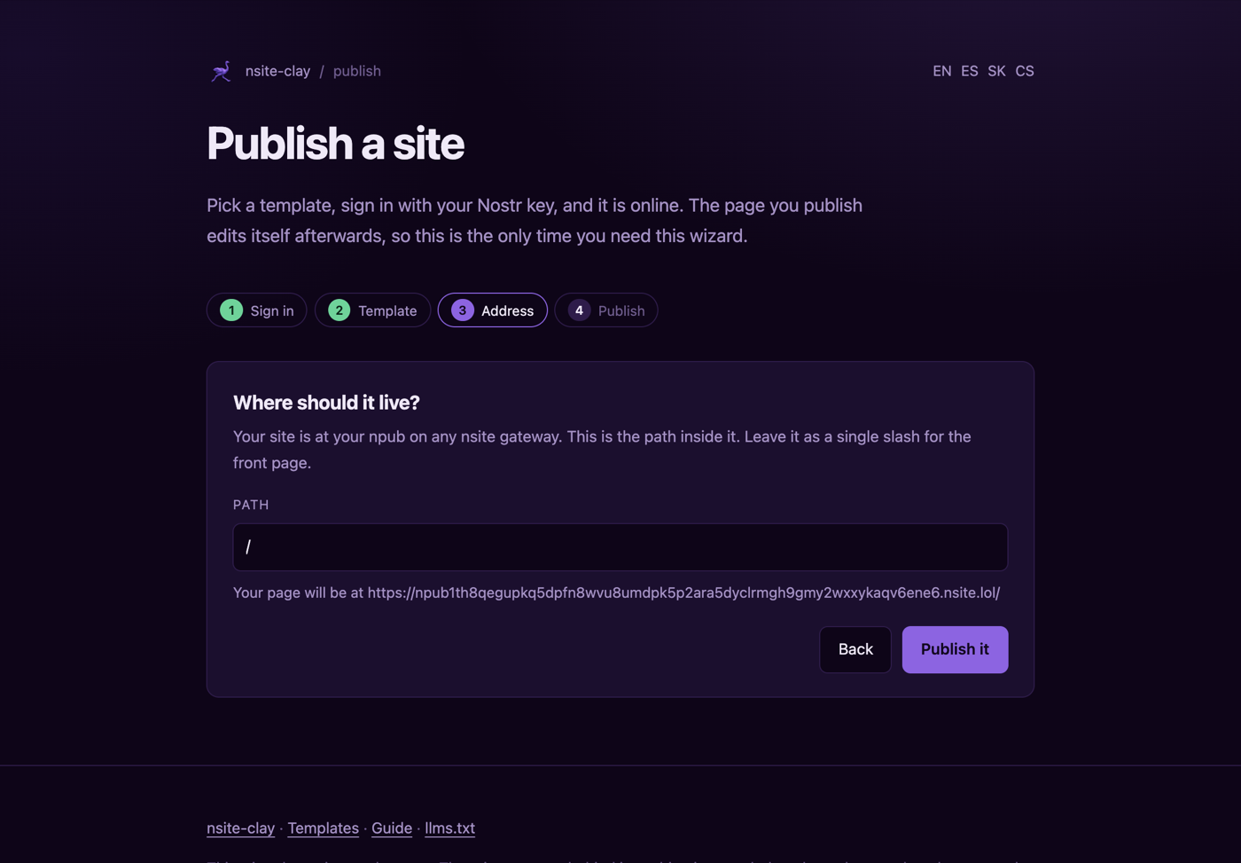 The address step, showing the full nsite.lol URL the page will have