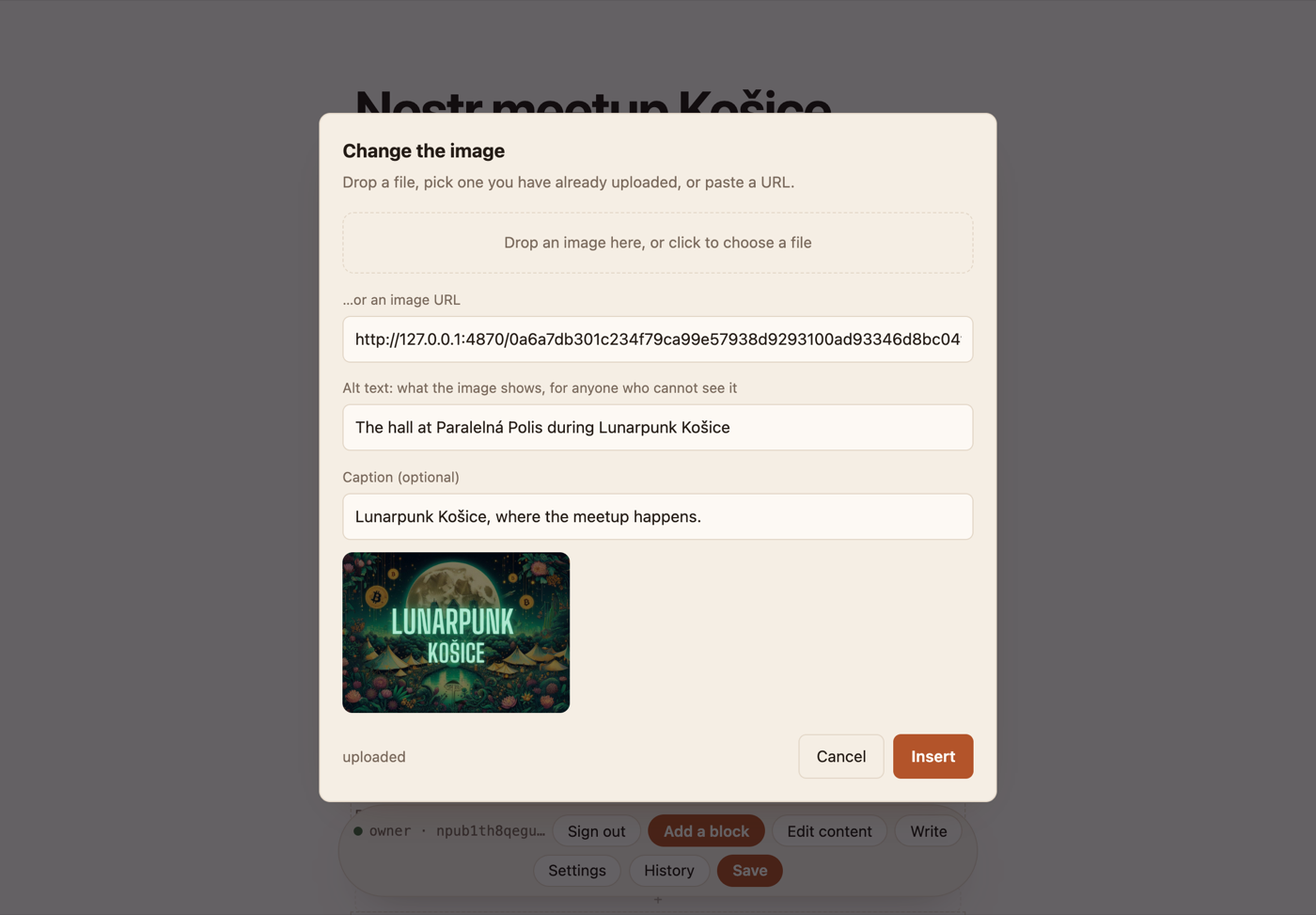 The picture dialog with a drop area, a grid of previously uploaded images, and fields for the URL, alt text and caption