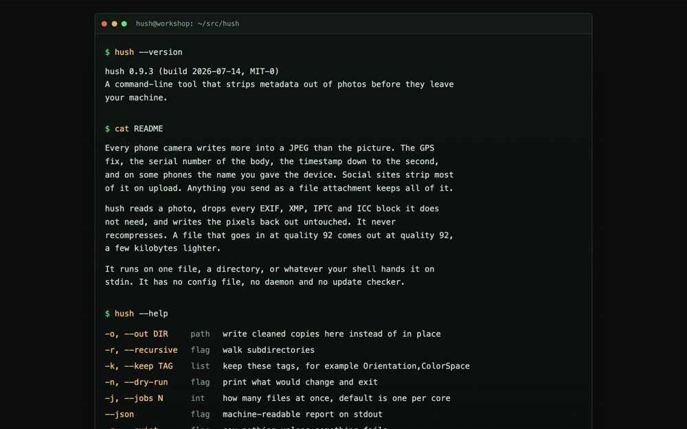 The terminal template